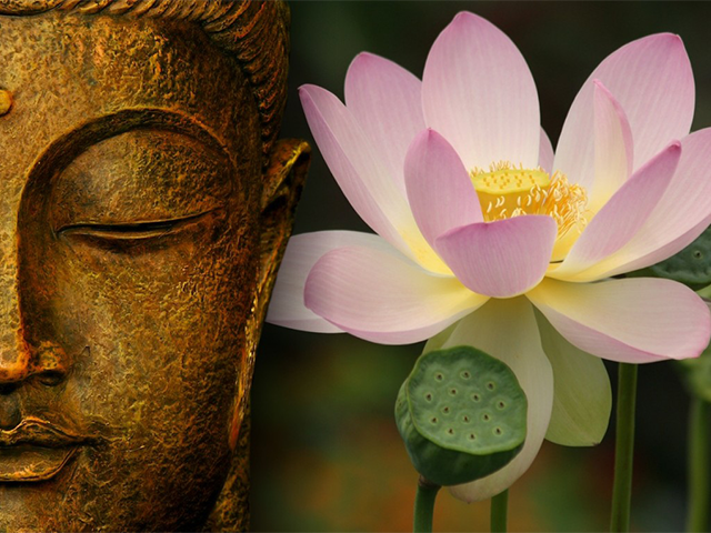 Holistic Therapy Morning