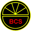 Ballinteer Comunity Schooly